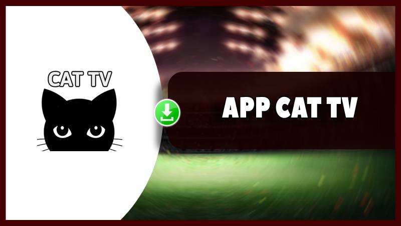 descargar cat tv app