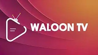 Waloon TV Apk